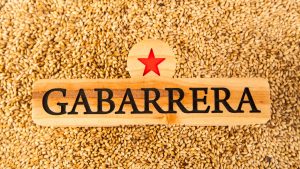 #GABARRERAFEST SÁBADO 24/11 A LAS 12:00 H